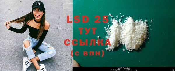 PSILOCYBIN Медвежьегорск