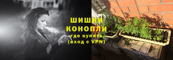 дмт Мегион