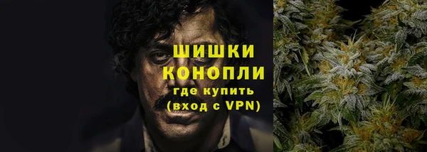 PSILOCYBIN Медвежьегорск