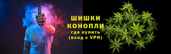 дмт Мегион