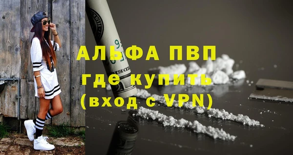 дмт Мегион