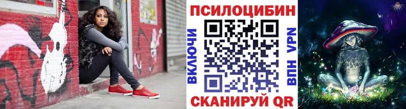 Псилоцибиновые грибы Psilocybe  Юрьев-Польский 